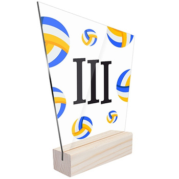 3rd place Sports statuette volleyball for volleyball players teams