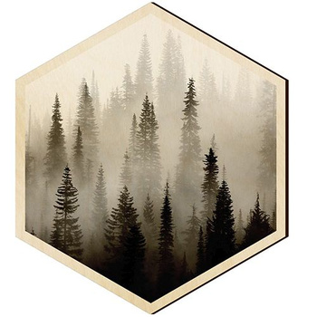  WOODEN DECORATIVE PANEL FOR A WALL HEXAGON