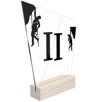 2nd place Sports statuette sports climbing for the team