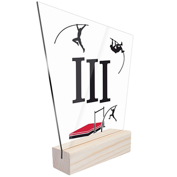 3rd place Sports statuette pole vault