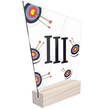 3rd place Statuette sports archery for the archer