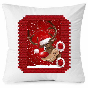 PILLOW, GIFT FOR SANTA'S DAY, WINTER STAR, CHRISTMAS CLAUS, REINDEER