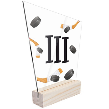 3rd place Sports statuette hockey for a hockey player team