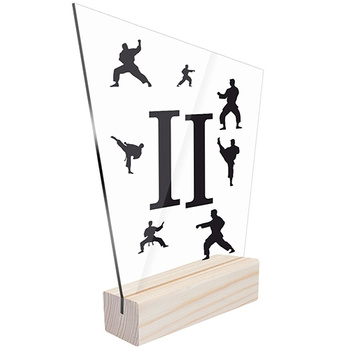 2nd place Sports statuette traditional karate for karateka