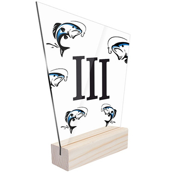 3rd place Sports statuette fishing for the angler team