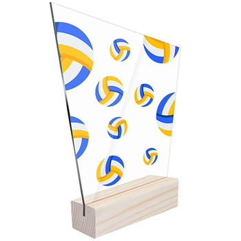 Sports statuette volleyball for volleyball players teams