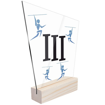 3rd place Sports statuette in javelin throw