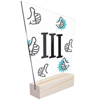 3rd place Statuette for exemplary behavior for a student