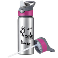 MUG SPORTS BOTTLE WATER BOTTLE WITH STRAW WITH HANDLE SURVIVAL 