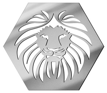 MIRROR DECORATIVE PANEL FOR THE WALL HEXAGON