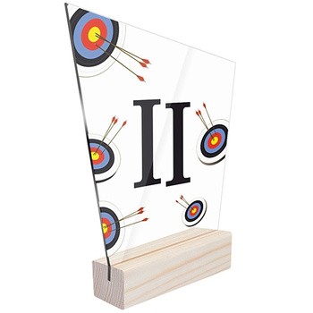 2nd place Statuette sports archery for the archer