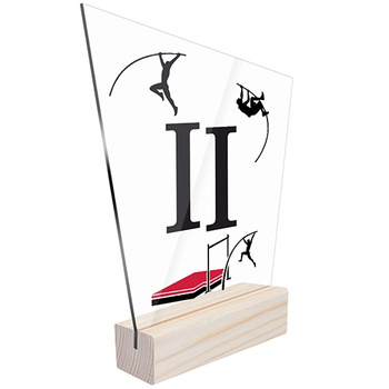 2nd place Sports statuette pole vault