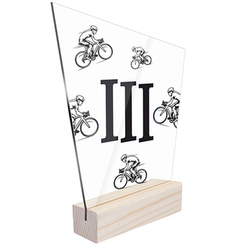 3rd place Sports statuette cycling for a cyclist