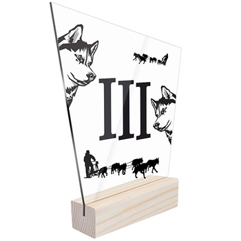 3rd place Sports statuette dog sled race