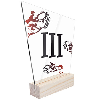 3rd place Sports statuette equestrian for the rider