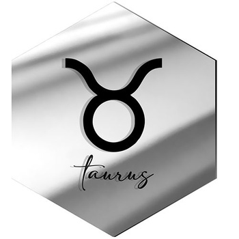 MIRROR DECORATIVE PANEL FOR THE WALL HEXAGON