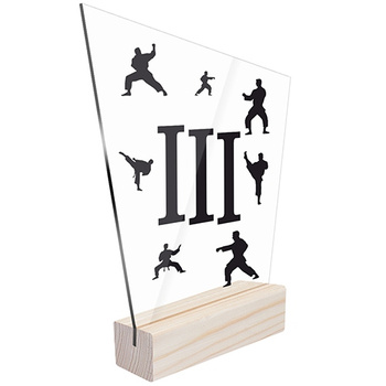 3rd place Sports statuette traditional karate for karateka