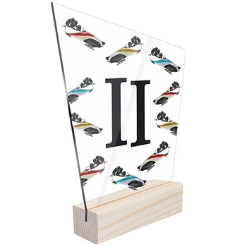 2 miejsce Statuetka sportowa saneczkarstwo dla saneczkarza